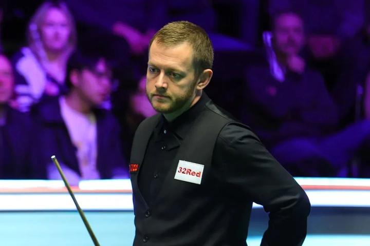 寻回巅峰 寻回巅峰