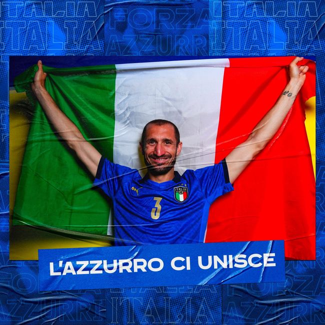 不仅证明了 不仅证明了